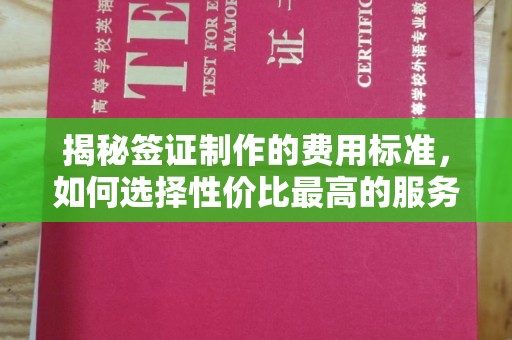 淡水揭秘签证制作的费用标准，如何选择性价比最高的服务？